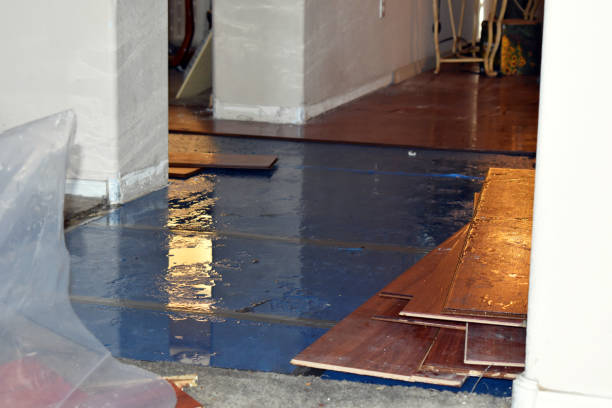 Professional Burst Pipe Water Damage technician working in Pinehurst, MA